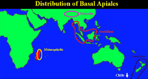 Distribution Map