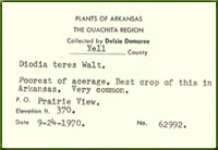 Plant Label