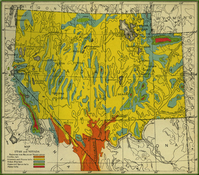 Map of Nevada vegetation