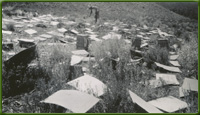 Drying ventilators