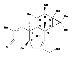 phorbol