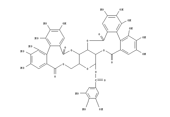 potentillen