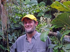 David A. Neill, Ph.D., Curator