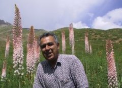 Ihsan A. Al-Shehbaz, Ph.D. 