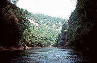 Nangaritza River canyon