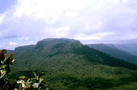 The Cordillera del Condor