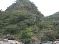 Bosque seco, alrededores de Camata.
