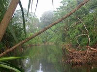 Vista del río Hondo, bosque amazónico, Parque Nacional Madidi.