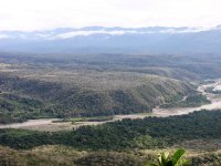 Bosque subandino seco.