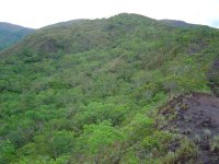 Bosque de cerrado, en los alrededores de la comunidad Virgen del Rosario. 