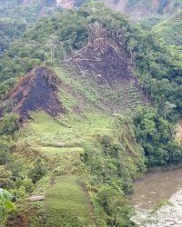 Chaqueos en el bosque montano del rea protegida Apolobamba.