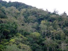 Informe expedicin Keara - Pata