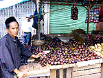 Mangosteen