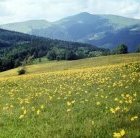 Carpathians