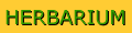 Herbarium