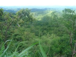 Mahenge Mountains, Tanzania, part of the Eastern Arc