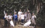 Herbarium collection