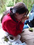 Working with mosses in Peru