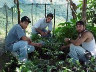 Plant propagation training in Peru