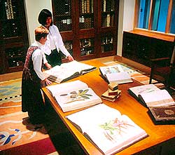 Rare Book Room