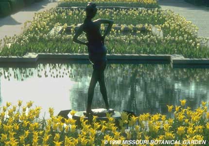 Image of'The Bather' (Grande Baigneuse) and tulips from the back