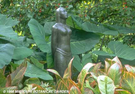 Photograph of the Indian Girl surrounded by the Heckman Bulb Garden