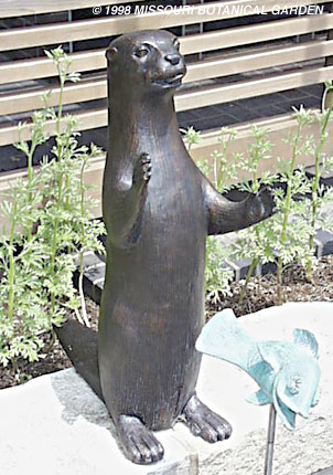 Photographic close-up of the Otter