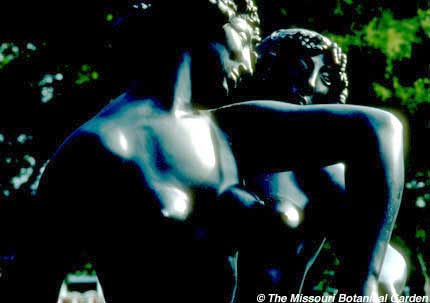 Photographic Detail of Two Girls Dancing