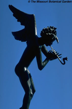 Image of 'Angel Musician with Horn' close-up