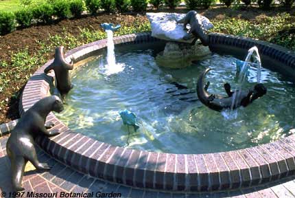 Image of Four Playful Otters with Fish