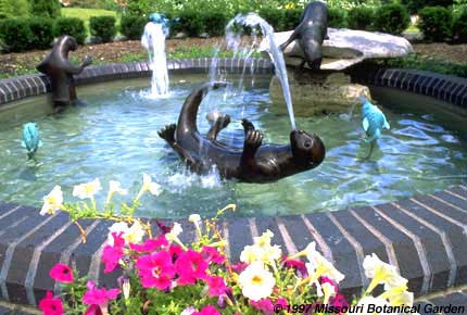 Close-up image of Four Playful Otters with Fish fountain