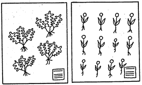 Pour Arranger les Plantes en Vue du Montage