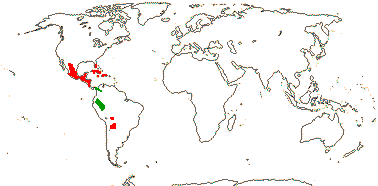 Alvaradoa, Nothotalisia