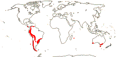 <i>Escallonia</i>, etc.