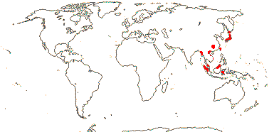 Petrosaviaceae