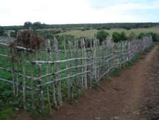 View of Mahabo Forest (in far background) from a neighboring village