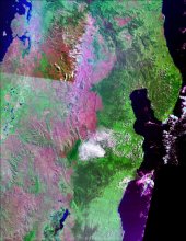 Madagascar's littoral forests