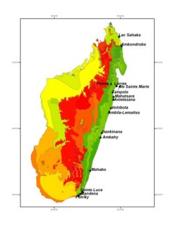 Littoral forest shapefile