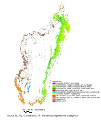 Remaining vegetation of Madagascar