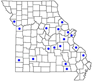 Dot map of Ailanthus altissima