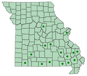 Dot map of Dioscorea oppositifolia