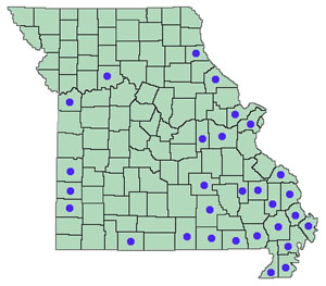 Dot map of Lonicera japonica