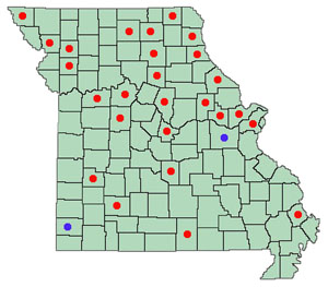 Dot map of Lythrum salicaria