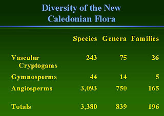 Diversity Chart