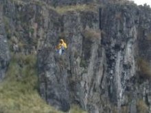 Danilo Minga collecting in rocky outcrops