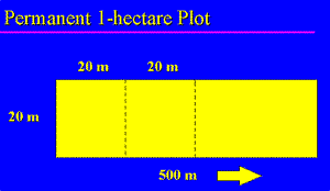 Plot graph