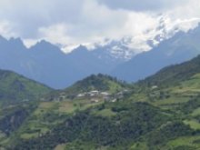 Alpine community in NW Yunnan