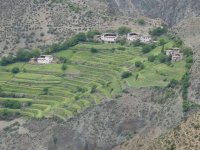 Cultivated terraces in Rizui