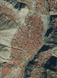 Ikonos satellite image of a village in the study site