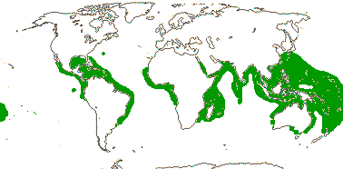 Mangroves